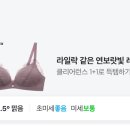 네이버 광고 자꾸 브라자 뜨는데 못 없애나 이미지