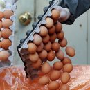 청운친환경영농조합 이미지