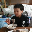 태권도충효체육관 이미지