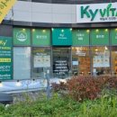 비타민어린이집 이미지