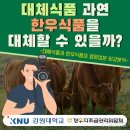 한우랑식품