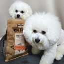 프레시독 이미지