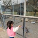 금돈농장 이미지