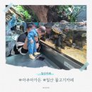 북거 | 일산 아쿠아가든 카페 겨울아기랑갈만한곳