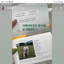 세온동물병원 이미지