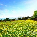 개간지천 이미지