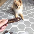 얌얌이푸드 이미지