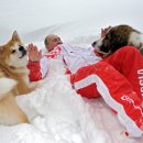 파트라슈 이미지