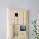 대우비디오 프라자 이미지