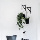 식물 인테리어 이미지