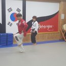 대도 세계로 태권도 이미지