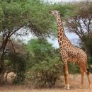 동서림한의원 이미지