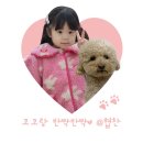 가야한우한돈 | [경기/부천]수제돼지갈비 맛집 한우한돈 원종역점