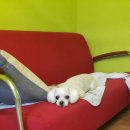 호텔 진 이미지