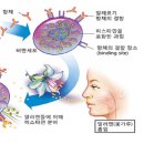 새천년건강한약국 이미지