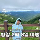 (합)모두에듀투어 | 62만원에 다녀온 아이와 강원도 평창 2박 3일 여행기