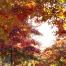 중화당반점 이미지