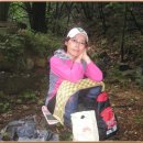 화개중학교 이미지