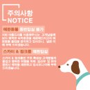 아름드리펜션 이미지