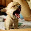 심심풀이 이미지