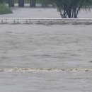 하천(갑천6) 이미지