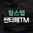 대경세차정비 | [리쿠스]현대 싼타페TM 전동사이드스텝 윙스텝(WINGSTEP) 장착 튜닝 시공(대구 보경모터스 취급점)