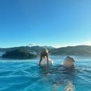 UR(거제시)-[거제북로]-하-3 | 내돈내산) 거제도 여행, 한화리조트 거제 벨버디어