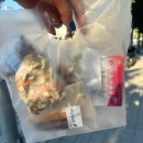 골든햄스터 분양 탬펫 충남아산점 | 탬펫 충남 아산점 방문 후기!!