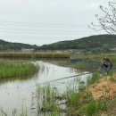 대요낚시터 네이버블로그