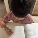 학교 공부로 끝내는 문해력 수업 | 수비니겨 문해력 초등독해문제집으로 초등 문해력 공부하기