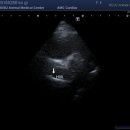 W 인천심장동물병원 이미지