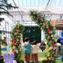 충장로350번길 | 고양시 아이와 가볼만한 곳 미스터허브식물공방