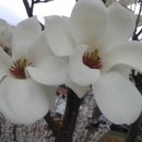 강남약손한의원 이미지