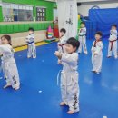 평생 쓰는 내 몸의 근육, 근감소증 예방 | 태권도 기본동작이 몸의 균형 발달에 미치는 영향 - 부천 중동 경희대 박사 현대 태권도