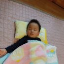 달뜨개방