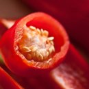 풍년아그로 이미지