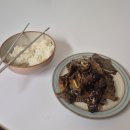 여주-1006 | [호주워홀 1주차] 그리고 갑차기스러운데 워홀 가도 돼?