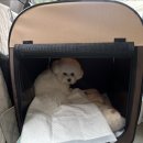 가치타개(타개) 이미지