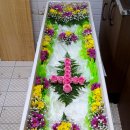 좋은이웃요양병원 | [장례일기 : 좋은 이웃을 배웅하는 법] 양천 효요양병원 장례식장. 서울시립승화원. 서현추모공원. 입관...