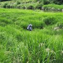 모곡공인중개사사무소 이미지