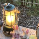 파인힐 빌리지 캠핑장 이미지