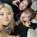 허니즈 Daum카페