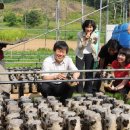 안치용농장 이미지