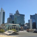 SOON FIT | [호주워홀 D+59] V&amp;V Walsh 육가공공장 면접 준비&amp;면접 질문리스트(예상)