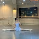 성인발레 취미발레 비용 가격 취미발레 학원 후기