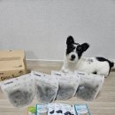 굿플러스덴탈 | 네이버 펫 바우처 강아지 개껌 추천 포켄스 덴티페어리