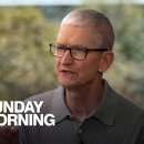 Extended interview: Tim Cook 이미지