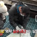 장정숙농장 티스토리