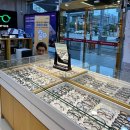 1001안경콘택트배방점 이미지