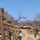 지리산황토펜션사계절여행 | 경남 하동 여행 지리산펜션 가볼만한곳 황톳길 걷기 체험